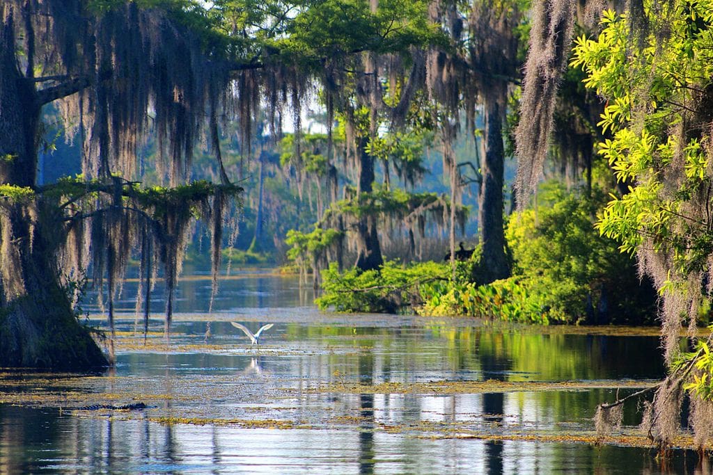 Hugh Taylor Birch State Park