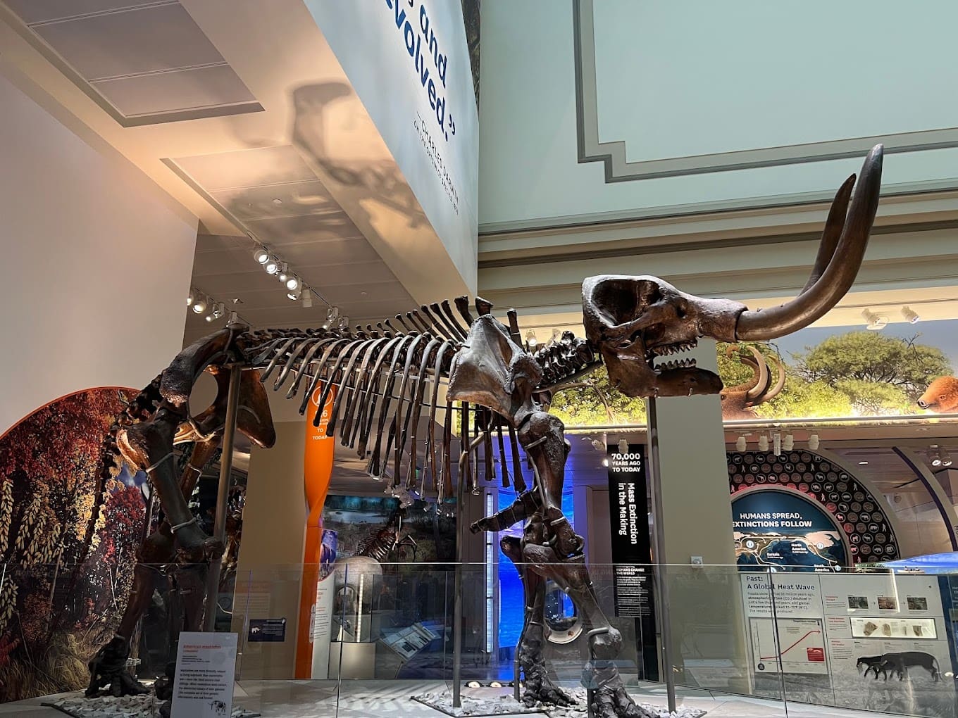 Smithsonian National Museum of Natural History